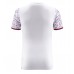 Fiorentina Replica Away Shirt 2023-24 Short Sleeve